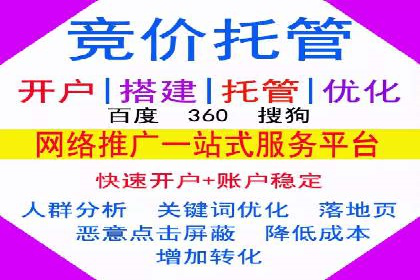 百度竞价赚钱的技巧与成功案例探讨